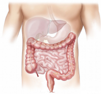 Combattre la constipation : les conseils de votre Pharmacie de Baillonville